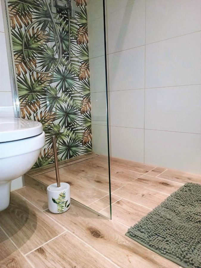 Szmaragdowy Apartament Przy Ulicy Opolskiej Тарновськє-Гури Екстер'єр фото