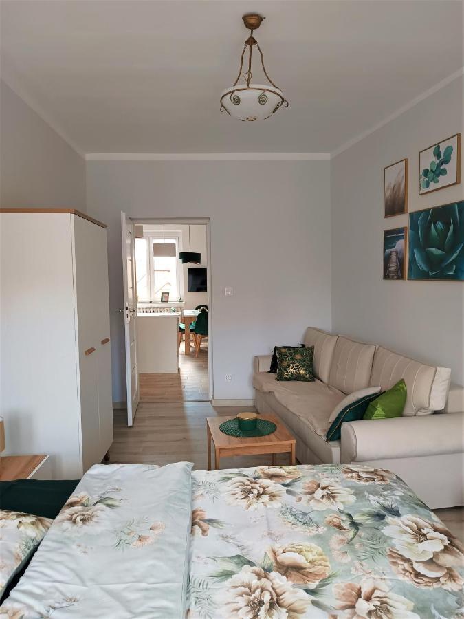 Szmaragdowy Apartament Przy Ulicy Opolskiej Тарновськє-Гури Екстер'єр фото