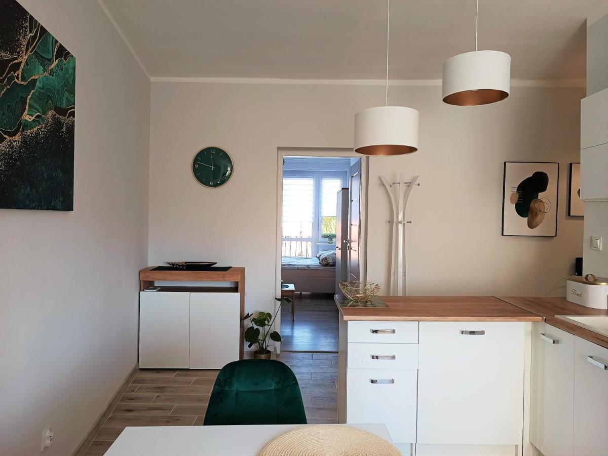 Szmaragdowy Apartament Przy Ulicy Opolskiej Тарновськє-Гури Екстер'єр фото