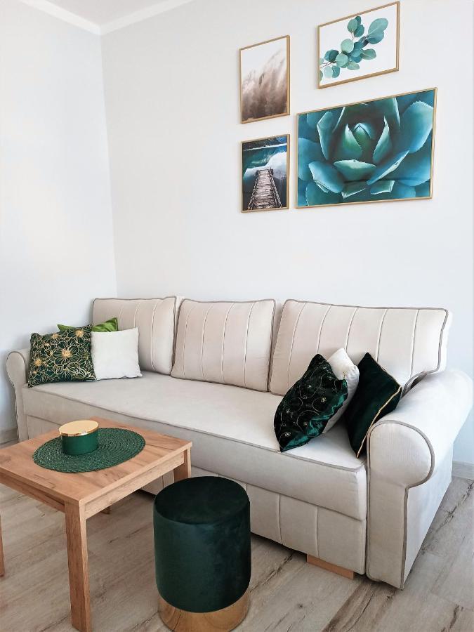 Szmaragdowy Apartament Przy Ulicy Opolskiej Тарновськє-Гури Екстер'єр фото