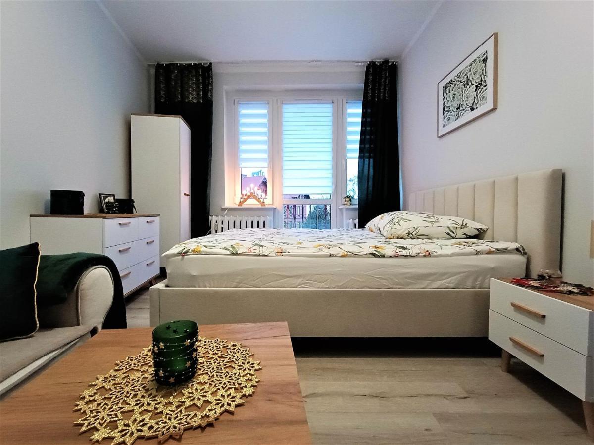 Szmaragdowy Apartament Przy Ulicy Opolskiej Тарновськє-Гури Екстер'єр фото