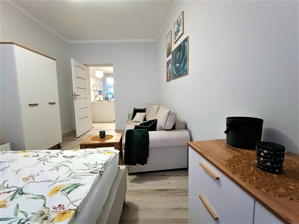 Szmaragdowy Apartament Przy Ulicy Opolskiej Тарновськє-Гури Екстер'єр фото