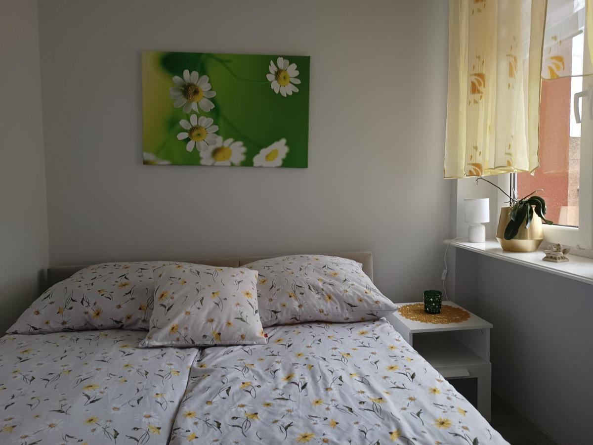 Szmaragdowy Apartament Przy Ulicy Opolskiej Тарновськє-Гури Екстер'єр фото