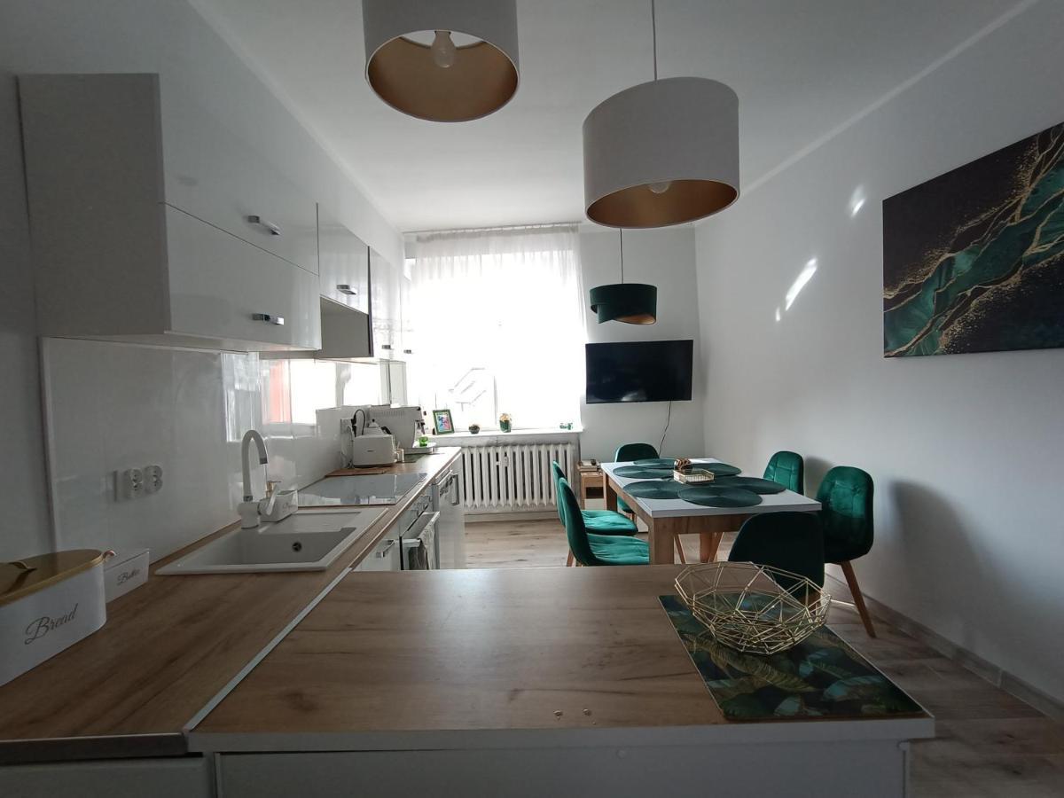 Szmaragdowy Apartament Przy Ulicy Opolskiej Тарновськє-Гури Екстер'єр фото
