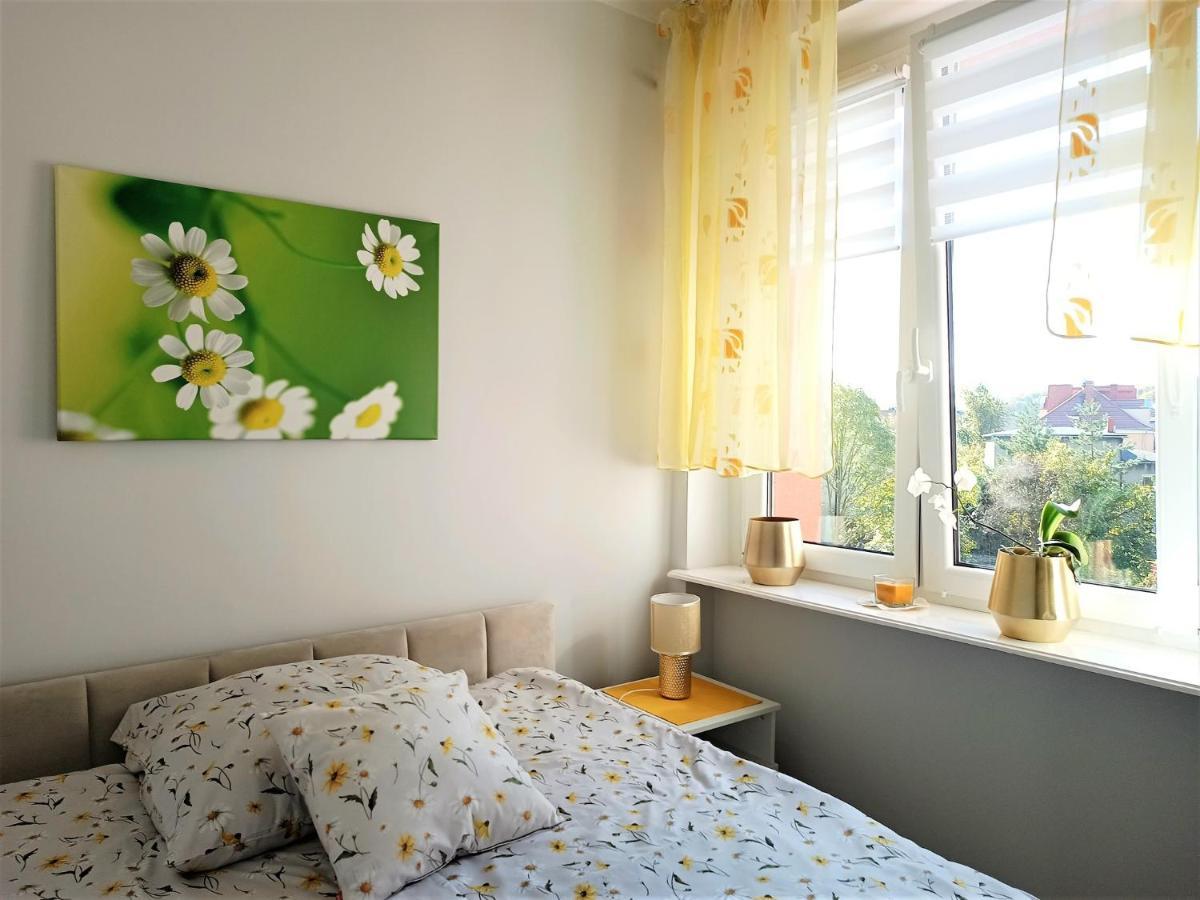 Szmaragdowy Apartament Przy Ulicy Opolskiej Тарновськє-Гури Екстер'єр фото