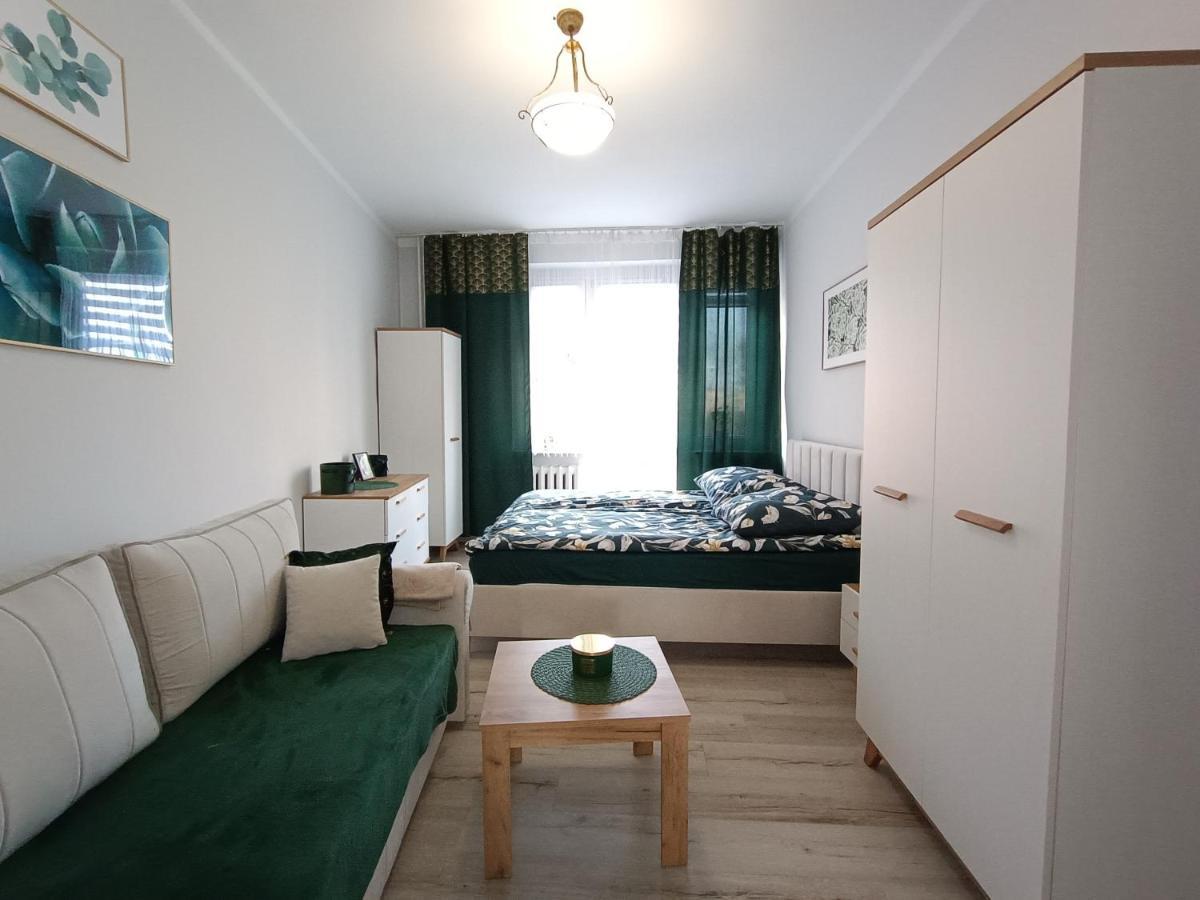 Szmaragdowy Apartament Przy Ulicy Opolskiej Тарновськє-Гури Екстер'єр фото