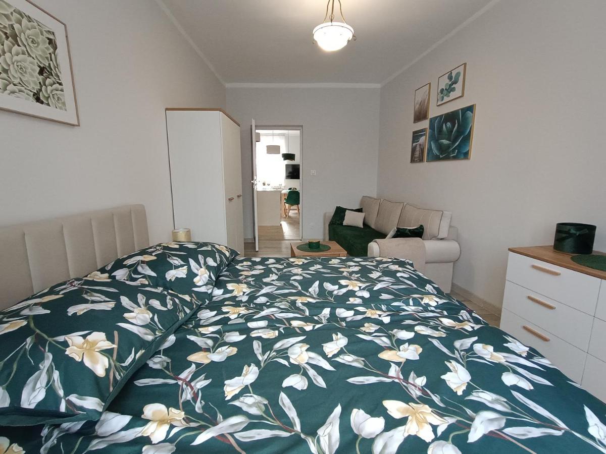 Szmaragdowy Apartament Przy Ulicy Opolskiej Тарновськє-Гури Екстер'єр фото