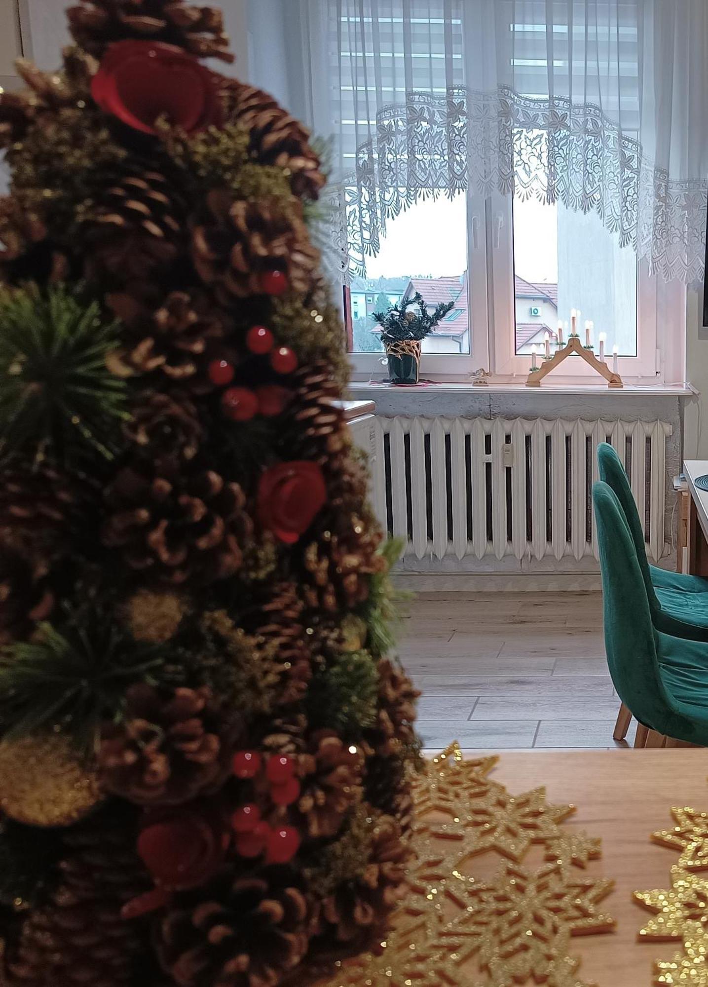 Szmaragdowy Apartament Przy Ulicy Opolskiej Тарновськє-Гури Екстер'єр фото